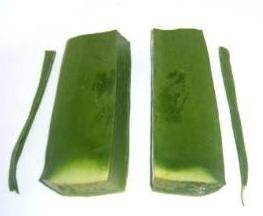 Aloe Vera Slice